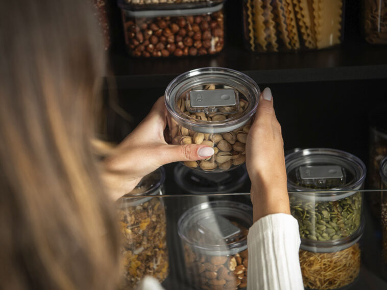 Crédito: divulgação