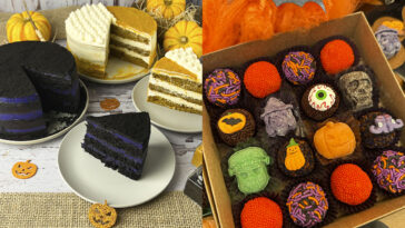 Crédito: divulgação