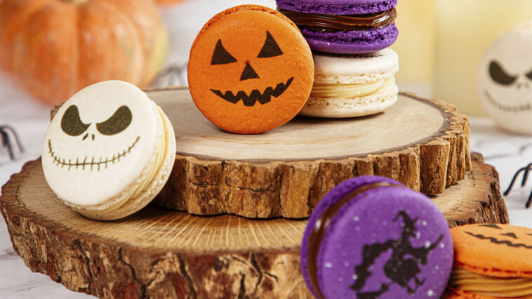 Crédito: divulgação