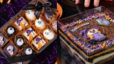 Crédito: divulgação