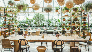 Crédito: divulgação