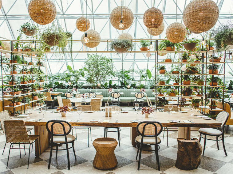 Crédito: divulgação