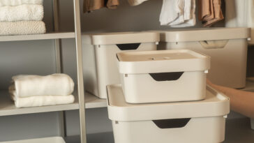 Crédito: divulgação