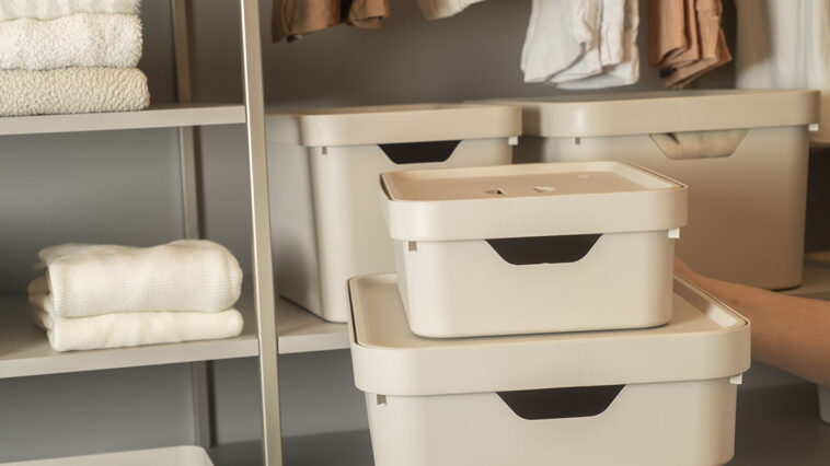 Crédito: divulgação