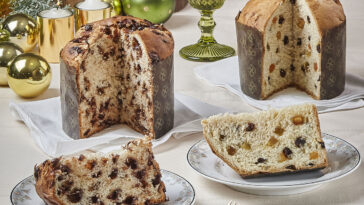 Crédito: divulgação