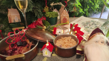 Foto: Douglas Fernandes