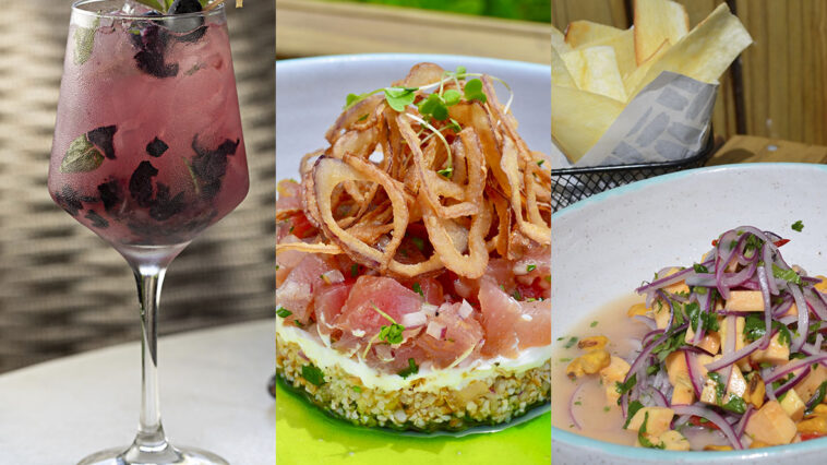 Foto: Carolina Rodrigues e Mario Farache