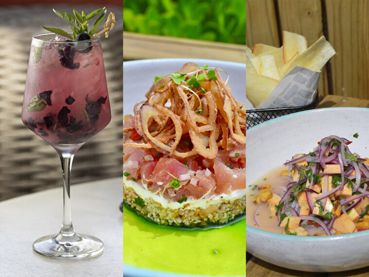 Foto: Carolina Rodrigues e Mario Farache