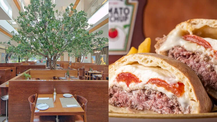 Crédito: divulgação