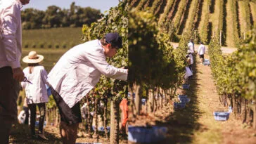 Foto: Emerson Ribeiro