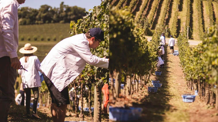 Foto: Emerson Ribeiro