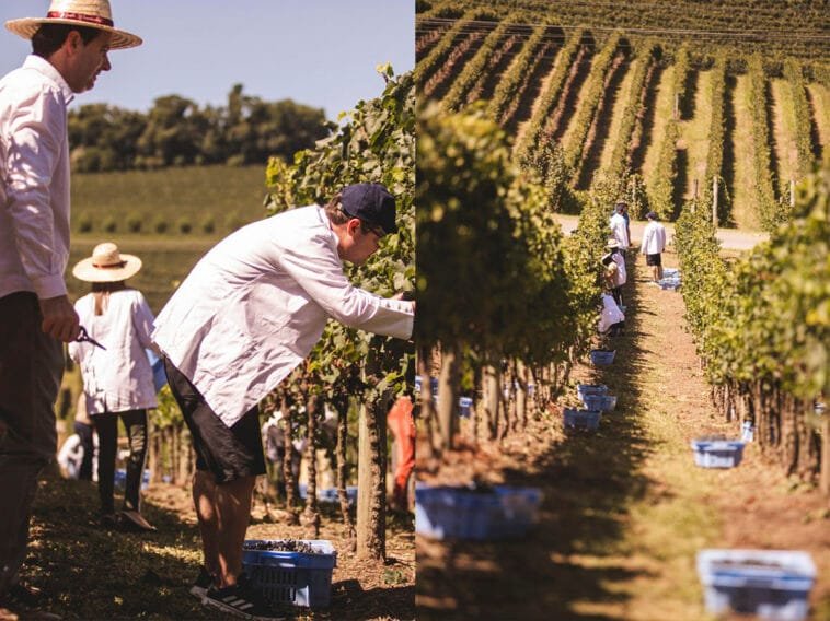 Foto: Emerson Ribeiro