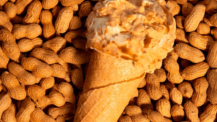 Crédito: divulgação