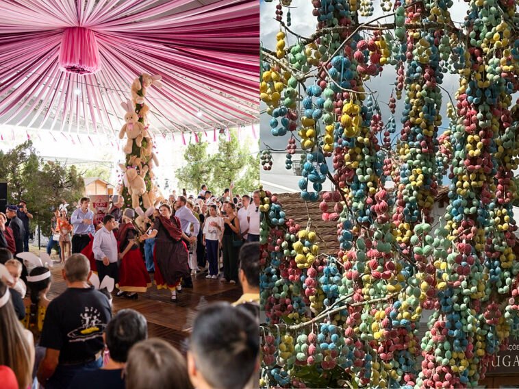 Foto: Evandro de Assis e Daniel Zimmermann