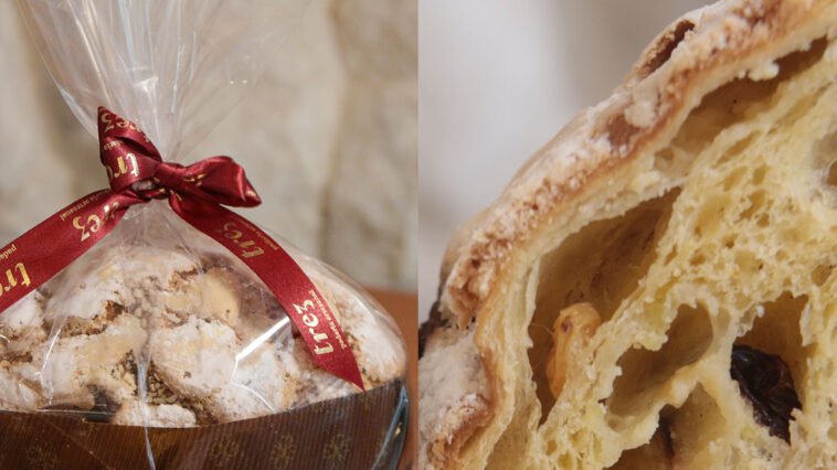 Foto: Rogério Lacanna