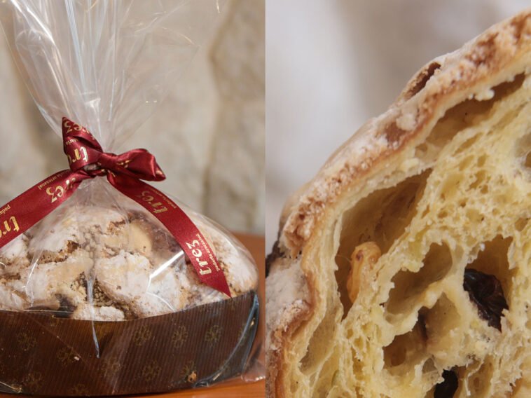 Foto: Rogério Lacanna