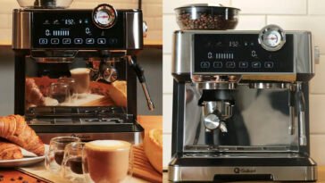 Crédito: divulgação