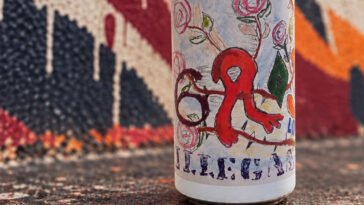 ILLEgal 6 Roses em lan&ccedil;amento de 2026