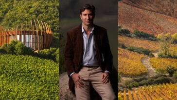 Lapostolle e Charles Henri Bournet apresentam novos vinhos no Brasil em 2026