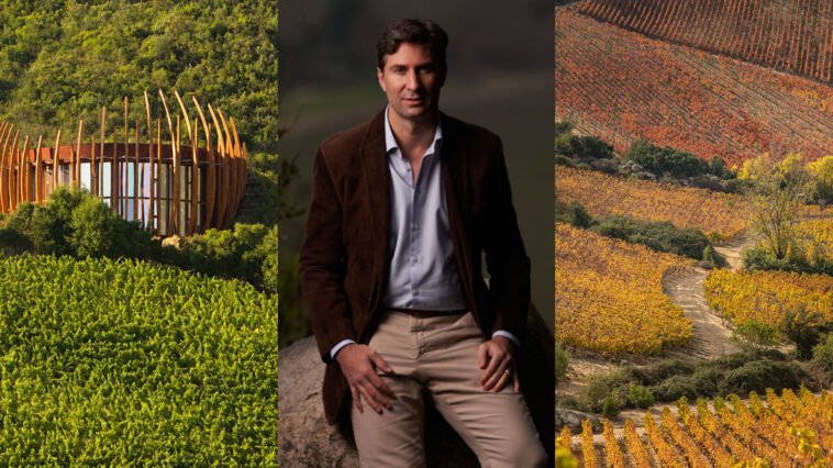Lapostolle e Charles Henri Bournet apresentam novos vinhos no Brasil em 2026