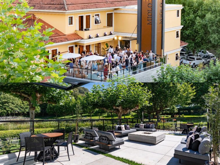 Miolo promove eventos e experiências no Vale dos Vinhedos em 2026