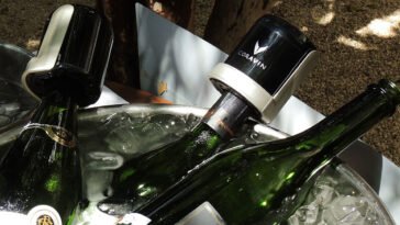 Coravin Guide Brasil 2026