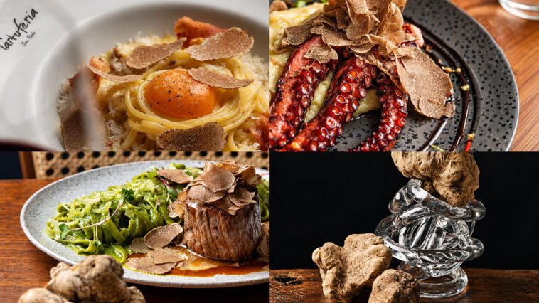 Montagem com massa e gema, polvo grelhado, carne com massa verde e trufas brancas fatiadas sobre os pratos.