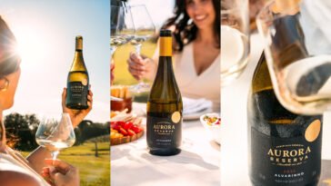 Montagem com garrafas de vinho branco Aurora Reserva Alvarinho 2025, taças e pessoas brindando ao ar livre.