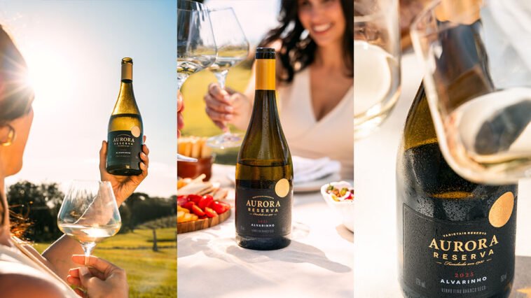 Montagem com garrafas de vinho branco Aurora Reserva Alvarinho 2025, taças e pessoas brindando ao ar livre.